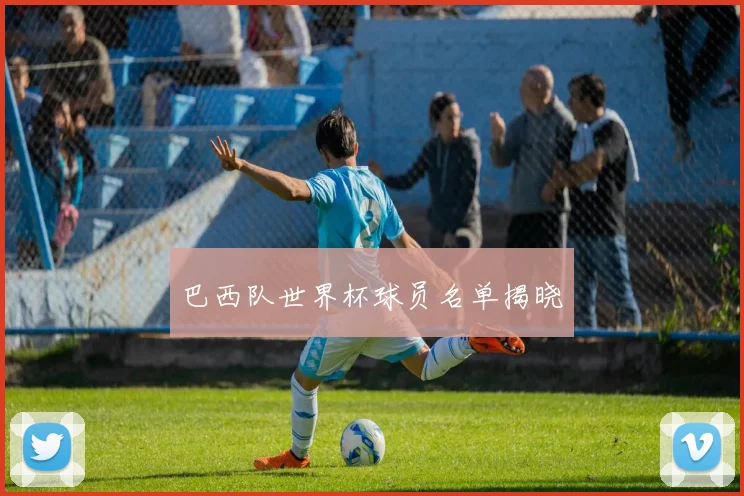 巴西队世界杯球员名单揭晓
